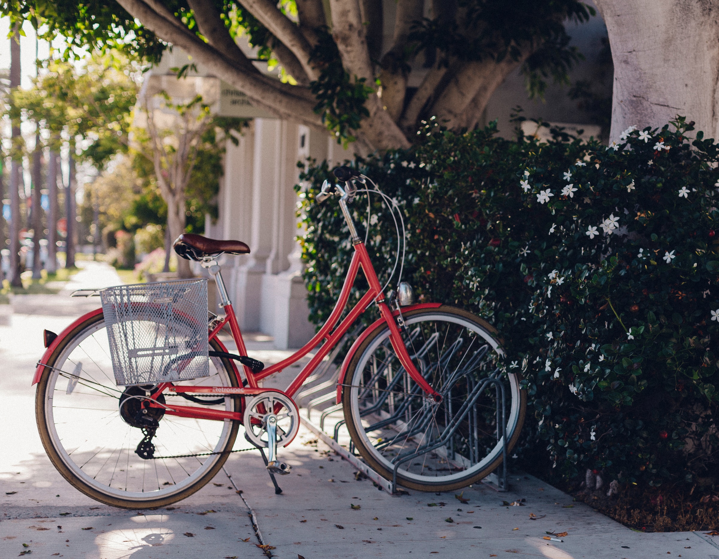 Read more about the article Sådan vælger du en cykelanhænger til dit behov